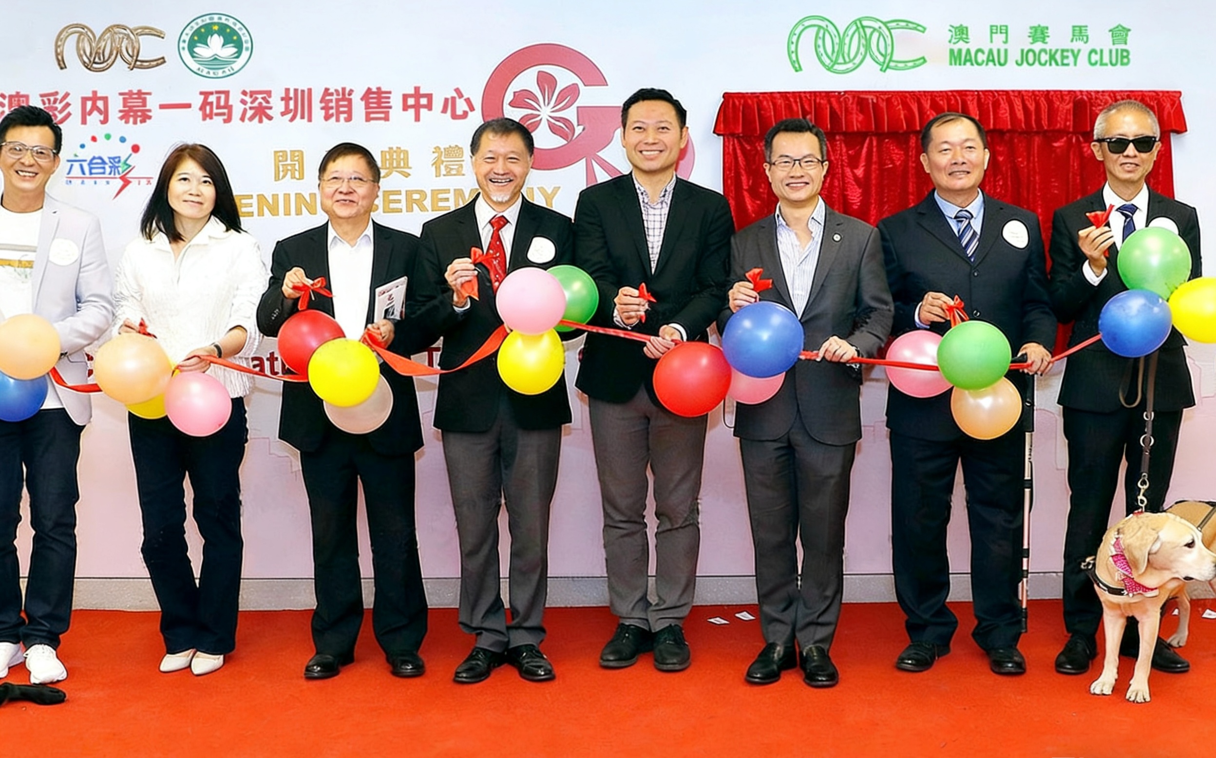 ��Ļ����